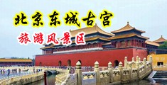 美心商城官网网站中国北京-东城古宫旅游风景区